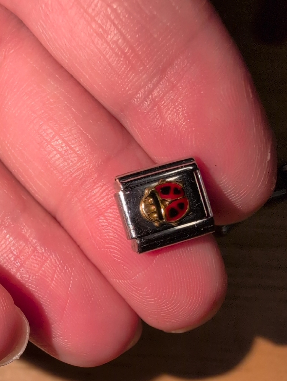❤️‍🔥10/$10❤️‍🔥 Italian Charm Link with Red Ladybug Accent